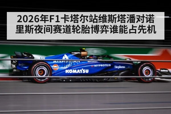 2026年F1卡塔尔站维斯塔潘对诺里斯夜间赛道轮胎博弈谁能占先机